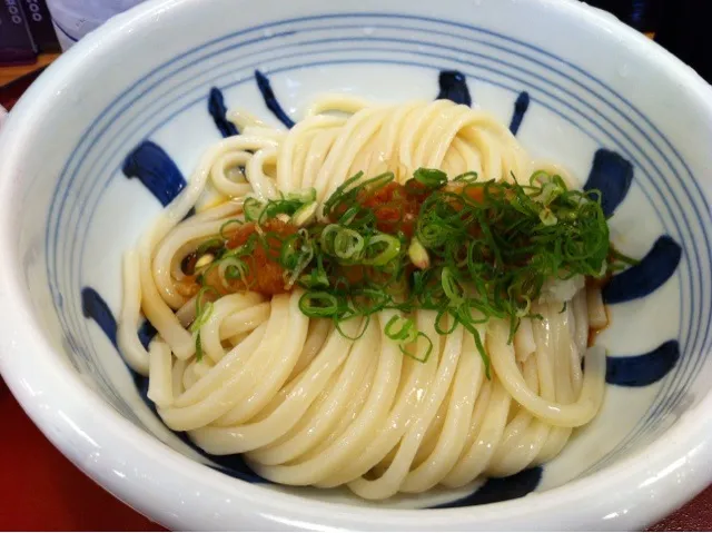 江戸堀木田 生醤油うどん|なおさん