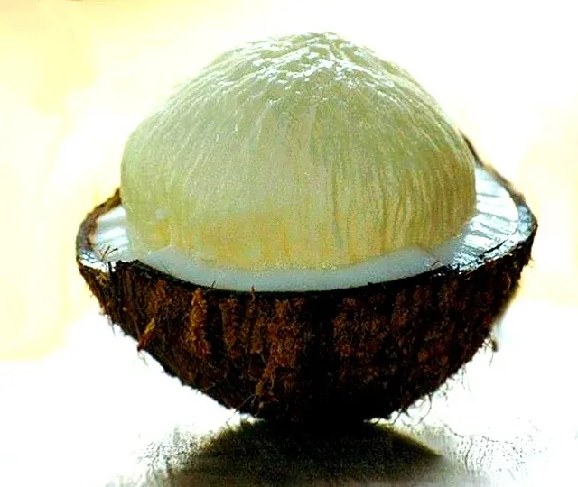 Snapdishの料理写真:จาวมะพร้าว  [N] embryo bud of a coconut tree|Inpataさん