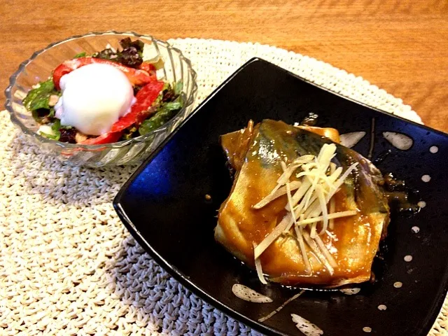 鯖の味噌煮🍴ツナサラダ|かかさんさん