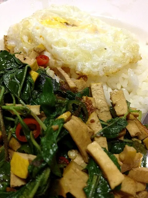 stir fried tofu with holy basil|sasithorn sinhaseniさん