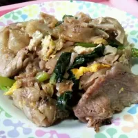 Thai Style fried Kuey Teow with season pork