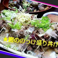 ★鰹ののっけ盛り丼★|＊あきこ＊さん