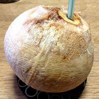 ココナッツジュース(๑˙³˙)