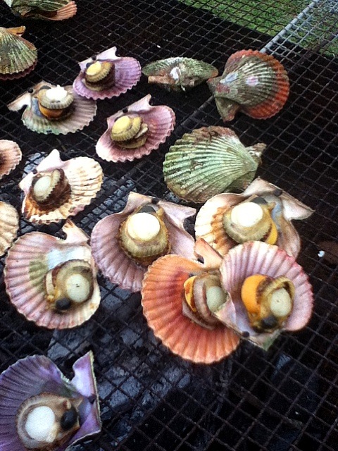 アッパ貝bbq 岩﨑 正勝 Snapdish スナップディッシュ Id 1998wa