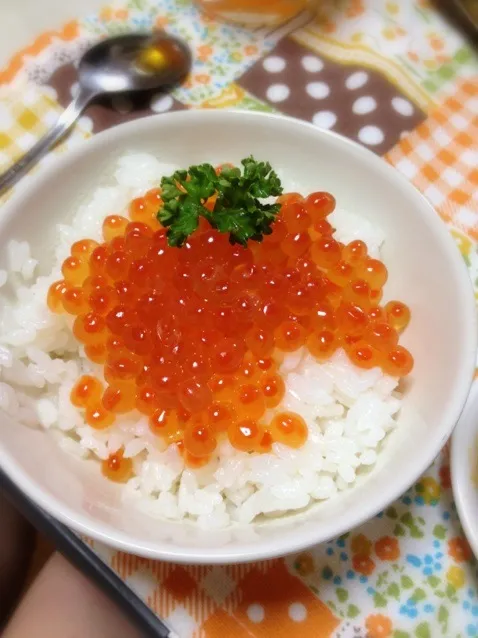 いくら丼|はなさん