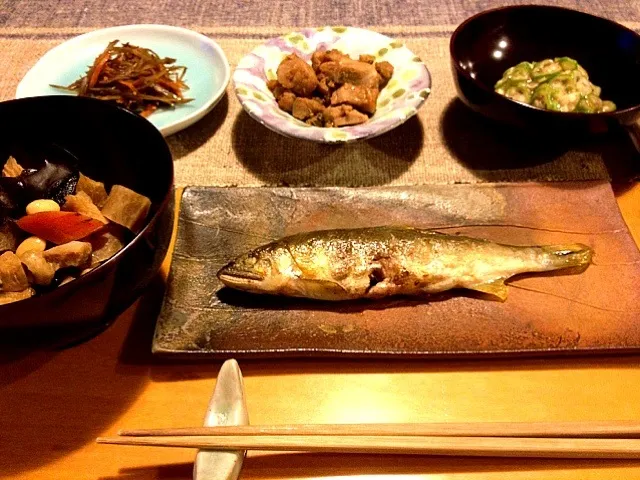 鮎♪ 寒干し大根の炊いたん きんぴらゴボウ マグロの山椒煮 オクラの梅和え|miyoさん