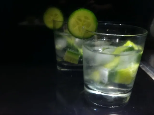 gin & tonic|willzさん