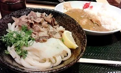 Snapdishの料理写真:塩豚おろし冷うどん＆カレー|なりぶらぶさん