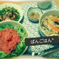 Snapdishの料理写真:サーモンとろ丼定食!|坪根知佳さん