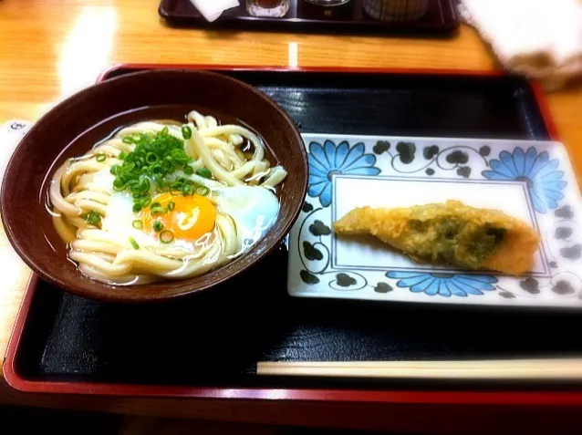 讃岐うどん！|Hitomi Seyaさん