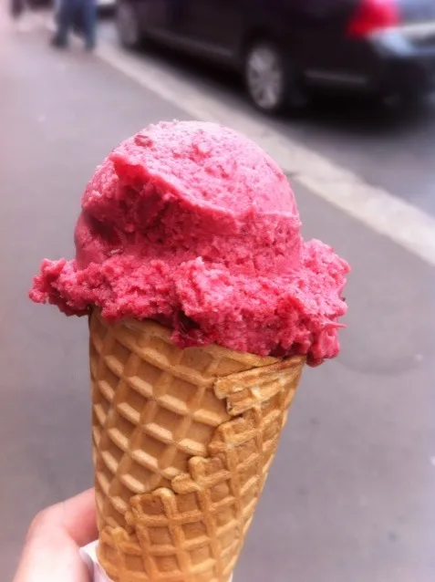 sour cherry sorbet|willzさん