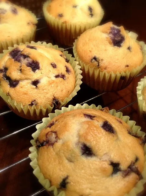 Blueberry Muffins|gigiさん