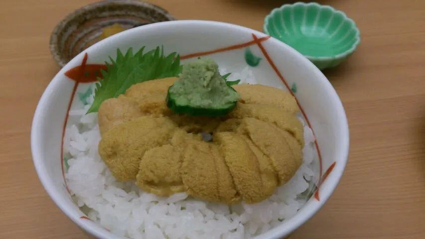 ムラサキ雲丹のウニ丼。やっば食べちゃいました。バフンほどの甘味はないのですがウニ丼はこっちの方が美味しいかも！|SATOSHI OOCHIさん