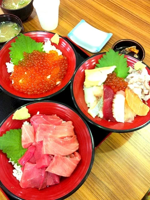 海鮮丼、イクラ丼、本マグロ丼。|hongkiさん