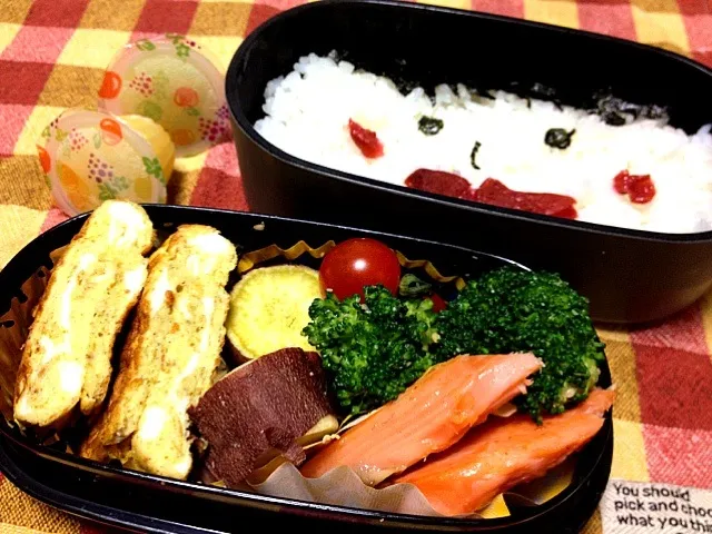 今日の息子のお弁当☆リクエストは鮭と梅干し♪|satomiさん