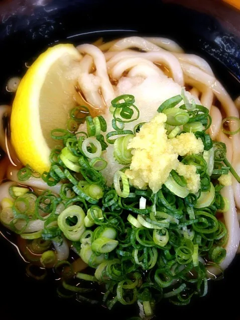 うどんうどん。おろしぶっかけあったかいのでお昼ご飯|gonさん