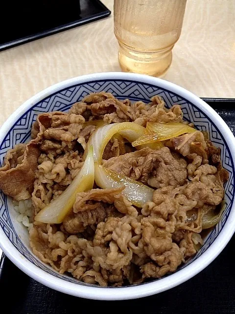 紅生姜と七味をかける前の牛丼|プラムてつ。さん