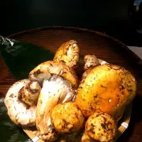 Matsutake mushroom in USA|Justin Tylerさん