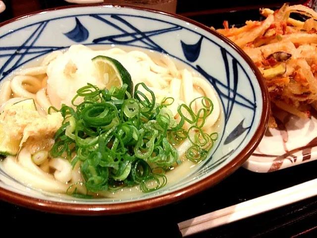 丸亀製麺の『すだちおろし冷かけうどん』♪|めんこさん