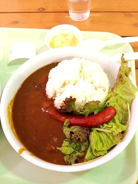 Snapdishの料理写真:ハーベストの丘*カレー|もえちゆさん