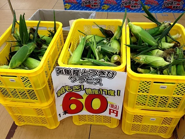 とうもろこし|コトさん