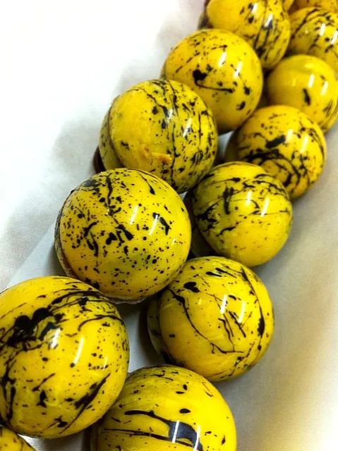 passion fruit valrhona chocolats|neno sampaioさん