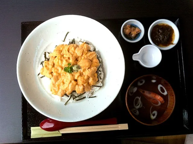 またまたウニ丼！初めてのお店で。|po-to-boさん