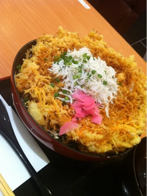 Snapdishの料理写真:20cm超のかき揚げ2枚丼|あずささん