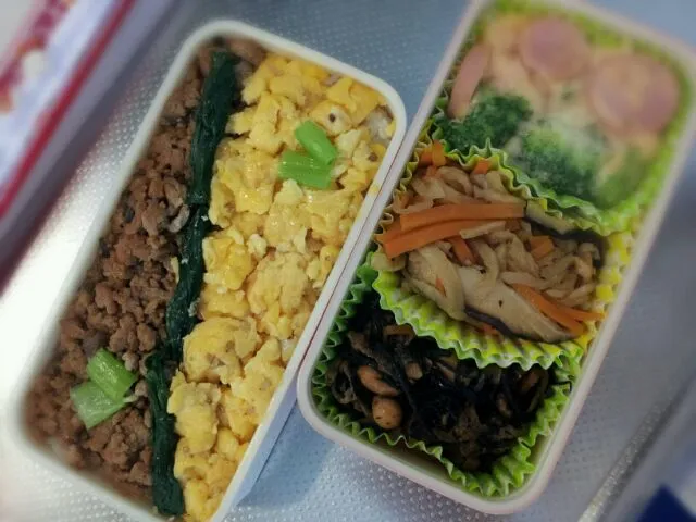 Snapdishの料理写真:鶏そぼろ弁当|友里さん