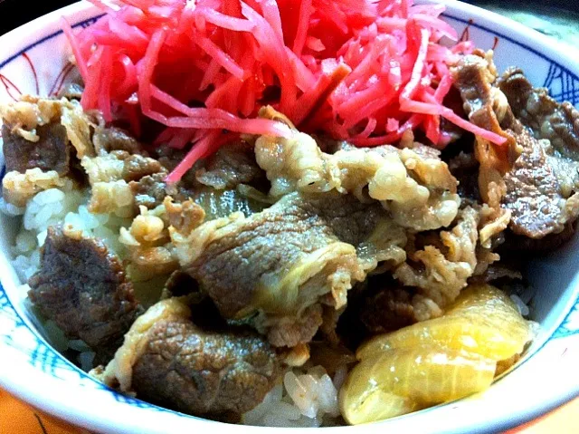 Snapdishの料理写真:gyudon (beef in ruce bowl)|Jorge Bernal Márquezさん