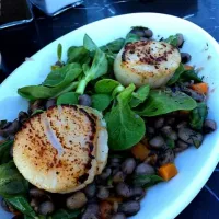 Snapdishの料理写真:Grilled scallops on a bed of red bean salad|Banu Ozdenさん