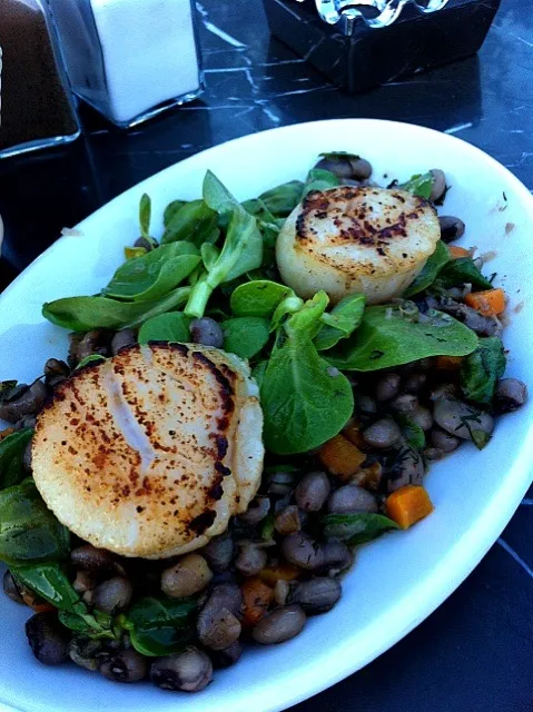 Grilled scallops on a bed of red bean salad|Banu Ozdenさん