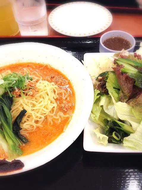 冷担々麺と野菜サラダ|まゆさんさん