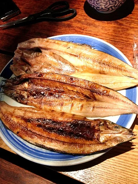 焼き魚(ほっけ&秋刀魚)|前田 タカシさん