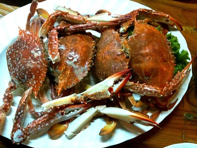 ปูม้า  horse crab|Inpataさん