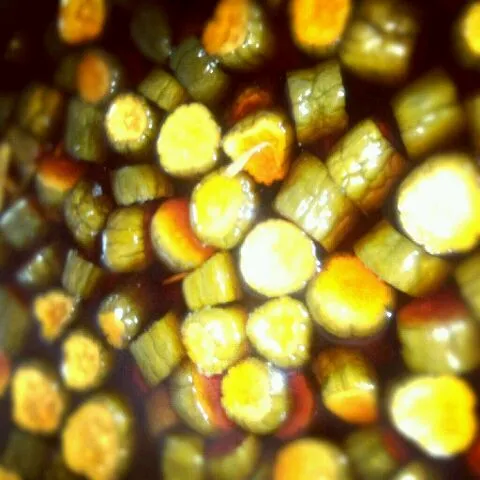 出来上がり～！|まりさん