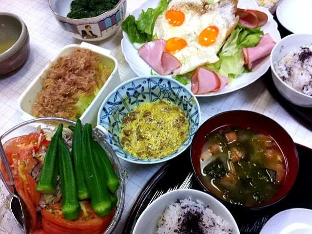 サラダ  目玉焼き  納豆  トマトとワカメの味噌汁  うりの漬物  シソごはん|高田恵子さん