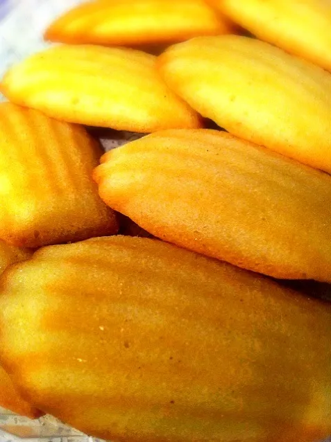 traditional madeleines|amy yuさん