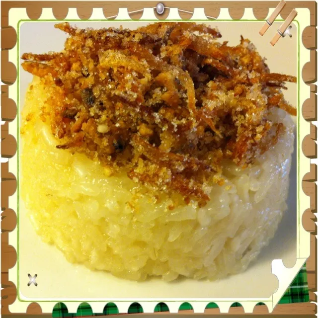 Snapdishの料理写真:Glutinous Rice with Dried Fish Topping|nadeauさん