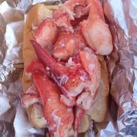 Snapdishの料理写真:maine lobster roll|kateさん