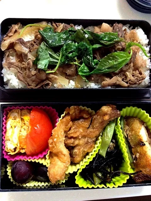 模試用弁当    牛丼にモロヘイヤ添え、鶏、カレ唐揚げ、インゲン、ひじき、卵焼き、巨峰、|zcさん