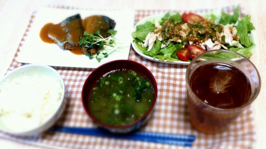 鯖の味噌煮、ささみのねぎだれ|れいさん