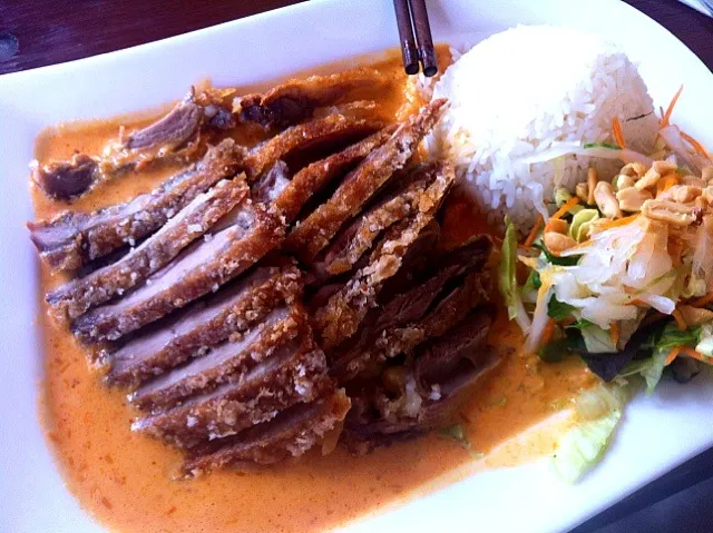 Snapdishの料理写真:Curry Duck|ibzさん