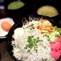 釜しらす丼|佐伯友布佳さん