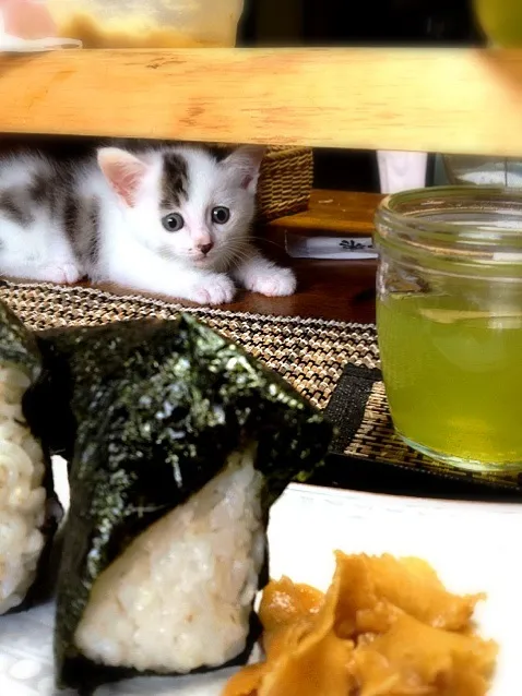 梅と昆布のおにぎり・はりはり漬け|まゆさんさん