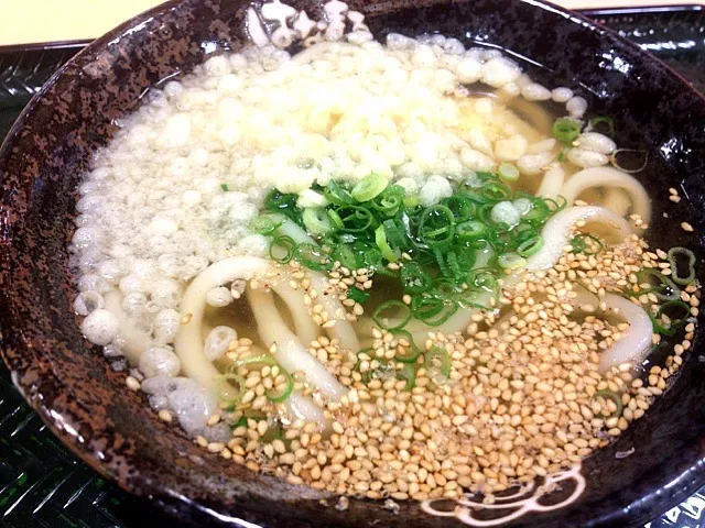 かけうどん 小|ぬぬ。さん