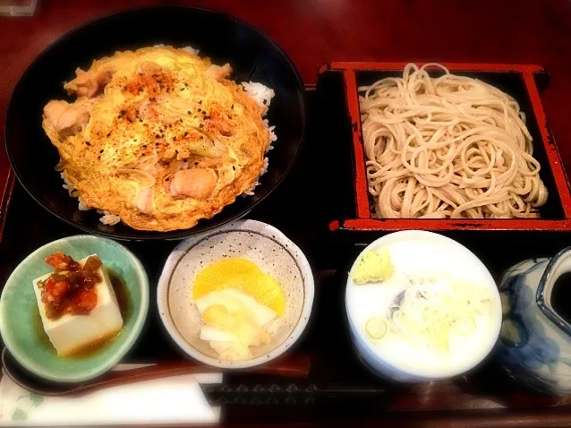 日替わり定食（親子丼）|しろくまさん