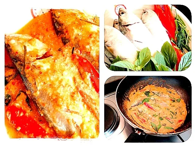 "Chu Chi"King of curry cooked with fish served with a spicy sauce.|Khunantzさん