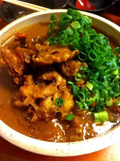 木津 うどん大和の鶏天カレーうどん|ユーリーさん