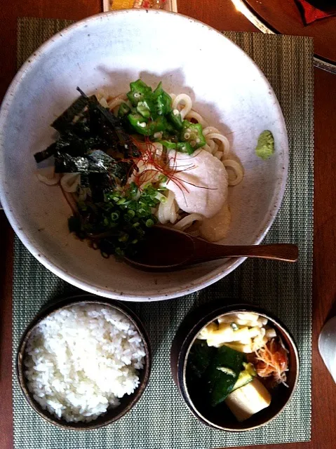 ネバネバうどん定食|gorisurferさん